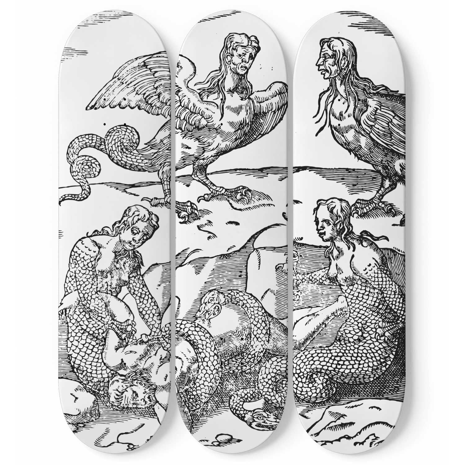 The Imagenes Deorum 3deck Skateboard Wall Art