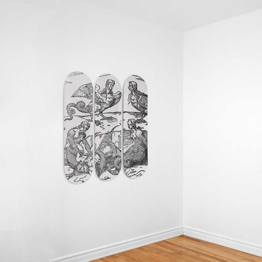 The Imagenes Deorum 3deck Skateboard Wall Art