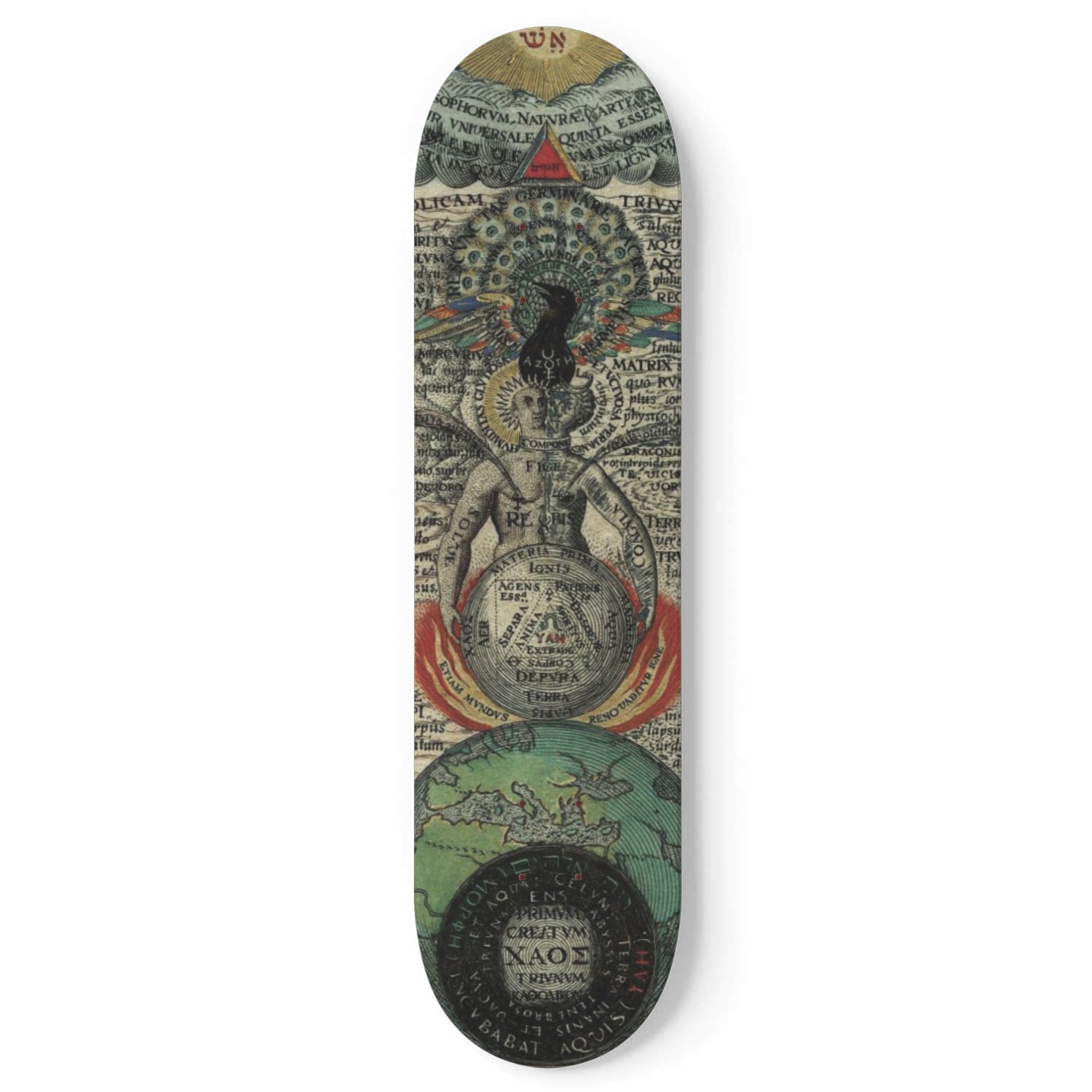 The Cosmic Rose Skateboard Wall Art